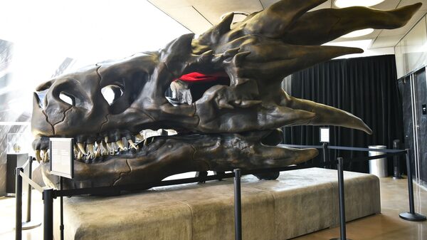 House of the Dragon colapsa HBO Max para miles de espectadores House of the Dragon colapsa HBO Max para miles de espectadores