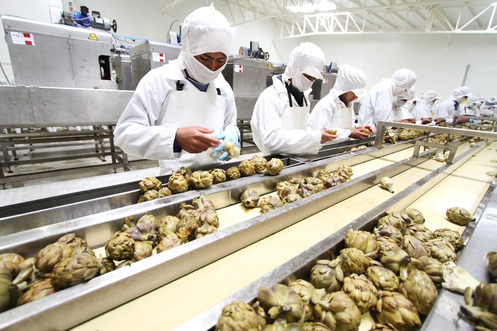 Uva, palta y arándanos: los frutos que brillaron en las agroexportaciones peruanas al mes de junio. Uva, palta y arándanos: los frutos que brillaron en las agroexportaciones peruanas al mes de junio.