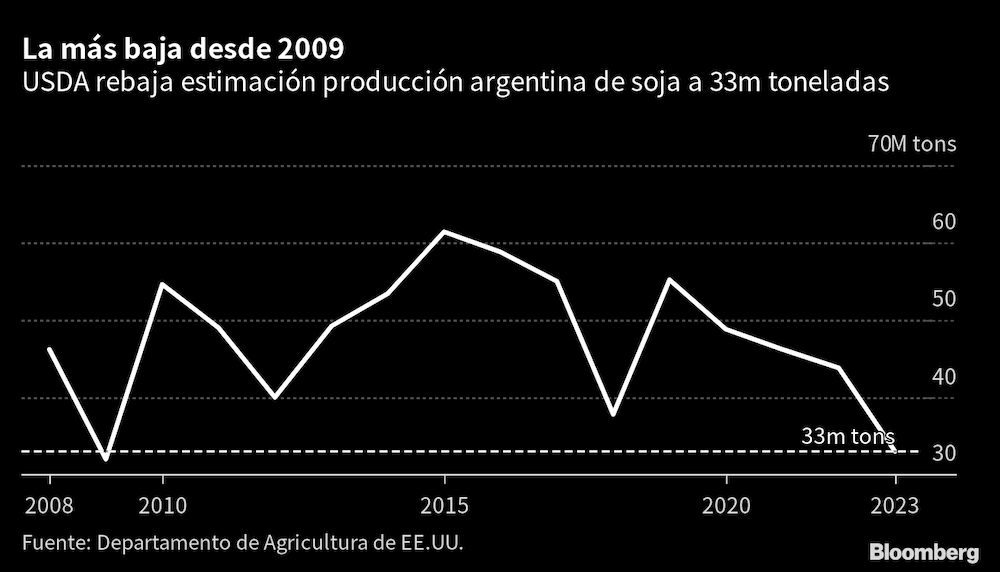 Estimaciones del Departamento de Agricultura de Estados Unidos (Bloomberg) Estimaciones del Departamento de Agricultura de Estados Unidos (Bloomberg)