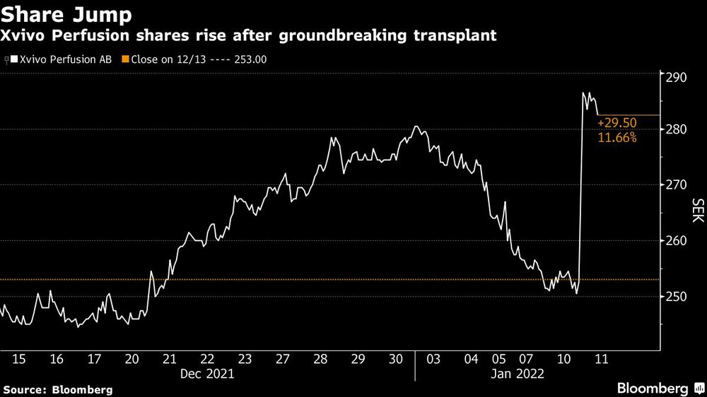Acción de Xvivo Perfusion Acción de Xvivo Perfusion