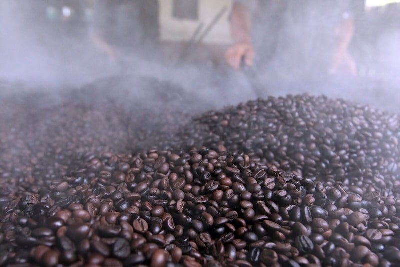 Granos de café robusta apilados y listos para moler. Granos de café robusta apilados y listos para moler.