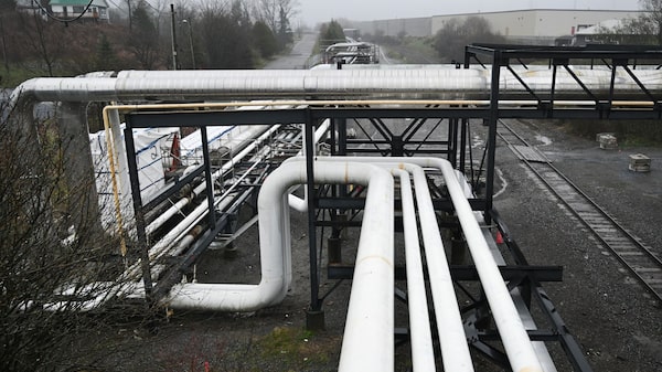 Bloqueio de Ormuz pode levar petróleo a US$ 150 por barril, diz executivo do setor Bloqueio de Ormuz pode levar petróleo a US$ 150 por barril, diz executivo do setor