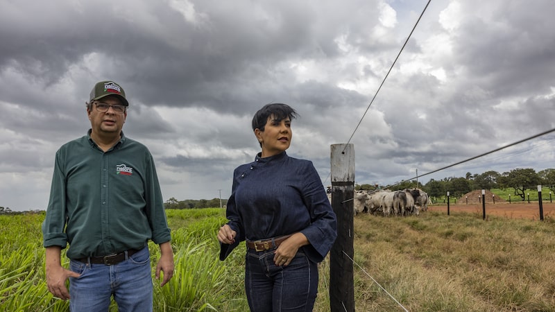Banqueros de São Paulo se adentran en el campo brasileño ante el auge de la riqueza rural Banqueros de São Paulo se adentran en el campo brasileño ante el auge de la riqueza rural