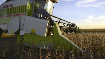 Ingreso de dólares del agro argentino se normaliza a la espera de un salto por la cosecha gruesa Ingreso de dólares del agro argentino se normaliza a la espera de un salto por la cosecha gruesa