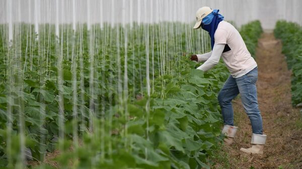 La IED en Honduras es insuficiente, ¿cuál es el plan para revertir la tendencia? La IED en Honduras es insuficiente, ¿cuál es el plan para revertir la tendencia?