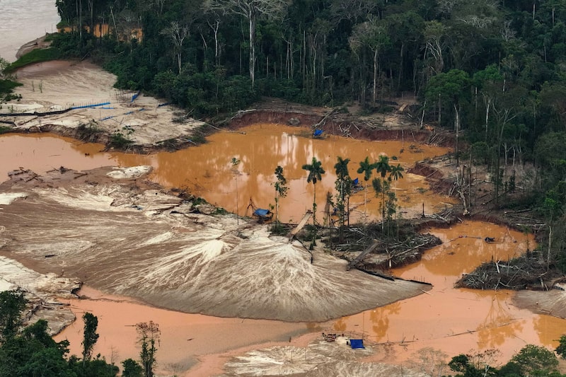 Reserva Nacional de Tambopata Reserva Nacional de Tambopata