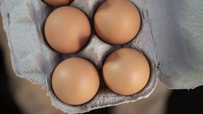 Caso de gripe aviária nos Estados Unidos pressiona os preços de ovos Caso de gripe aviária nos Estados Unidos pressiona os preços de ovos