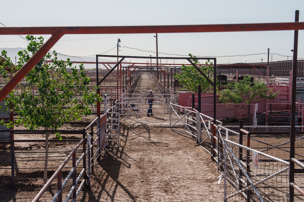 Empty corrals at the Union Ganadera Regional de Chihuahua cattle import facility in Santa Teresa, New Mexico, June of last year. Photographer: Paul Ratje/Bloomberg Empty corrals at the Union Ganadera Regional de Chihuahua cattle import facility in Santa Teresa, New Mexico, June of last year. Photographer: Paul Ratje/Bloomberg