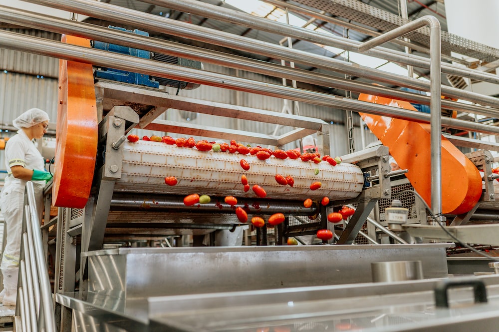 Processamento de tomate da Heinz Processamento de tomate da Heinz