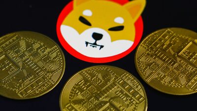 Shiba Inu bate recorde; petição da Robinhood ultrapassa 300 mil assinaturas Shiba Inu bate recorde; petição da Robinhood ultrapassa 300 mil assinaturas