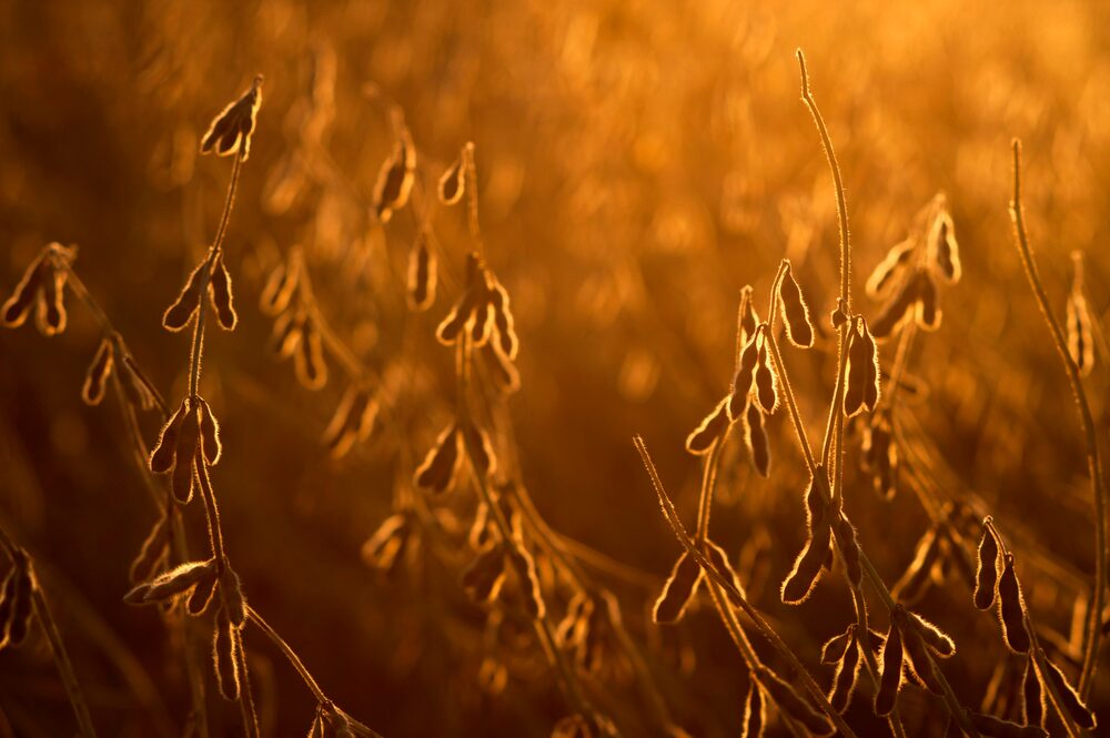 Foto: Ty Wright/Bloomberg Foto: Ty Wright/Bloomberg