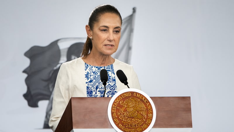 Sheinbaum publica decreto para ampliar transparencia del Gobierno, filiales de Pemex y CFE Sheinbaum publica decreto para ampliar transparencia del Gobierno, filiales de Pemex y CFE