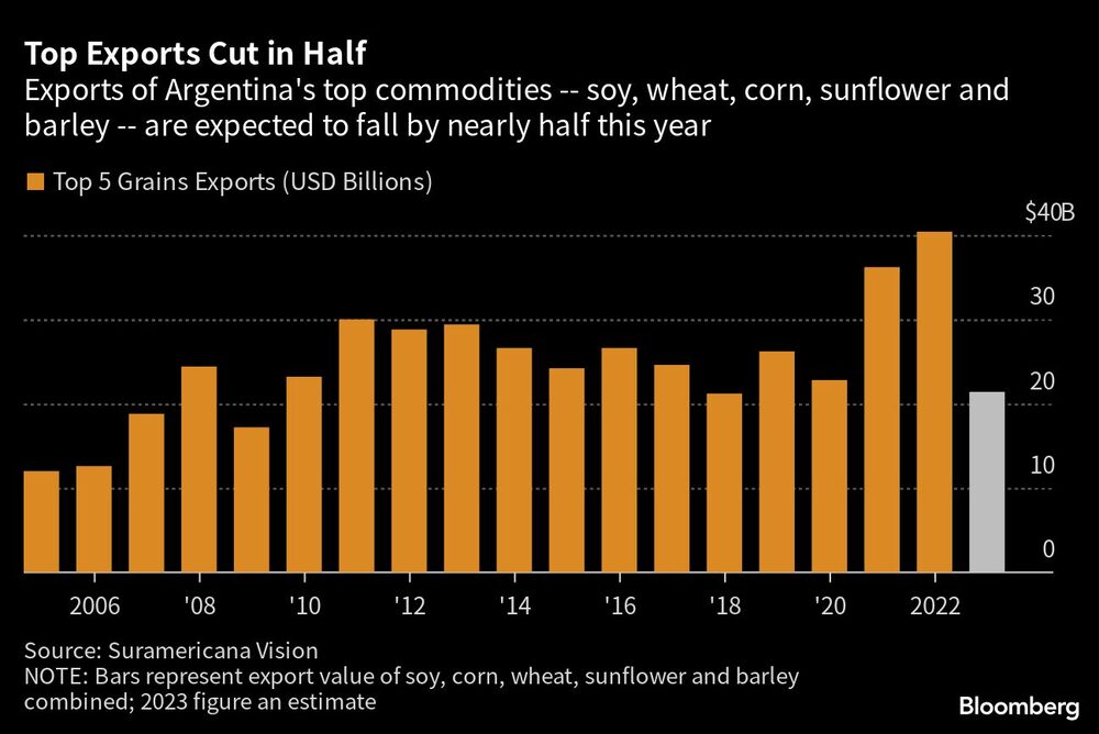 Las ventas externas de soja, maíz, girasol y cebada, caerían cerca de la mitad este año (Fuente: Bloomberg) Las ventas externas de soja, maíz, girasol y cebada, caerían cerca de la mitad este año (Fuente: Bloomberg)