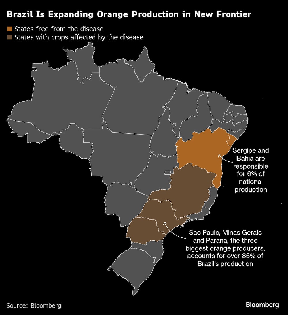 (Fonte: Bloomberg) (Fonte: Bloomberg)