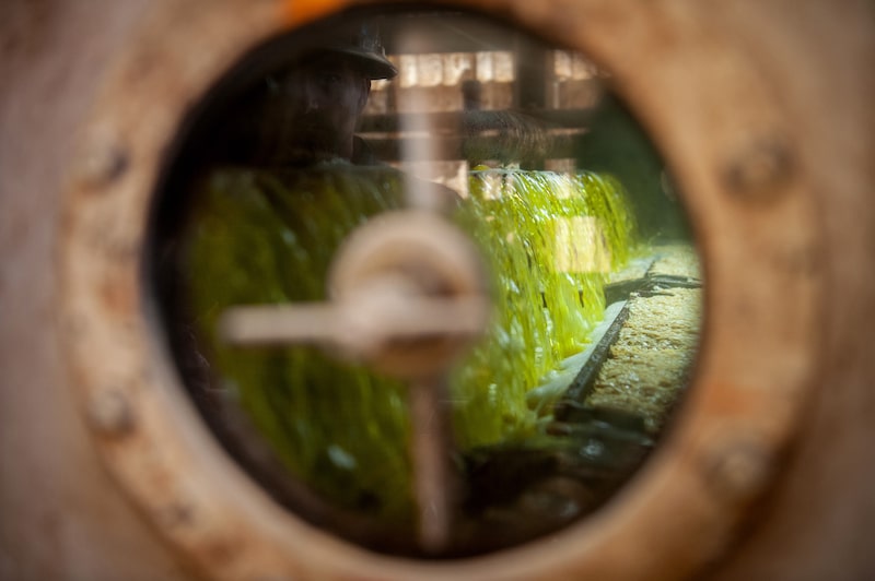Soybean oil processing. Soybean oil processing.