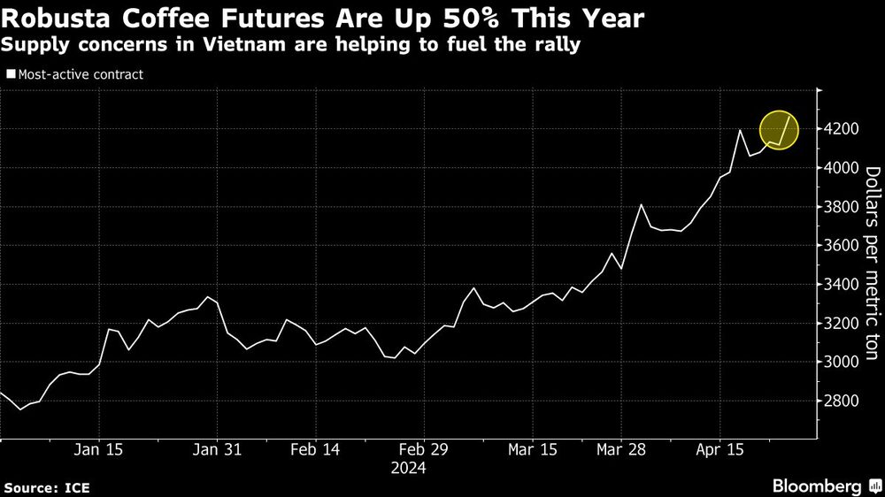Robusta Coffee Futures Are Up 50% This Year | Supply concerns in Vietnam are helping to fuel the rally Robusta Coffee Futures Are Up 50% This Year | Supply concerns in Vietnam are helping to fuel the rally