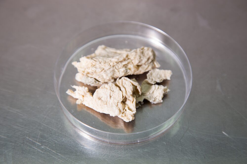 Fuente: Kernel Fuente: Kernel