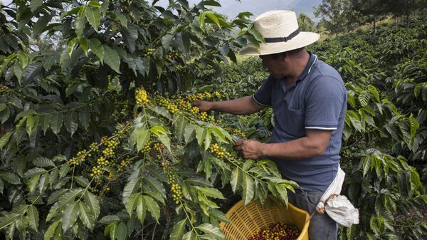 Guatemala e Israel próximos a cerrar negociación de acuerdo comercial Guatemala e Israel próximos a cerrar negociación de acuerdo comercial