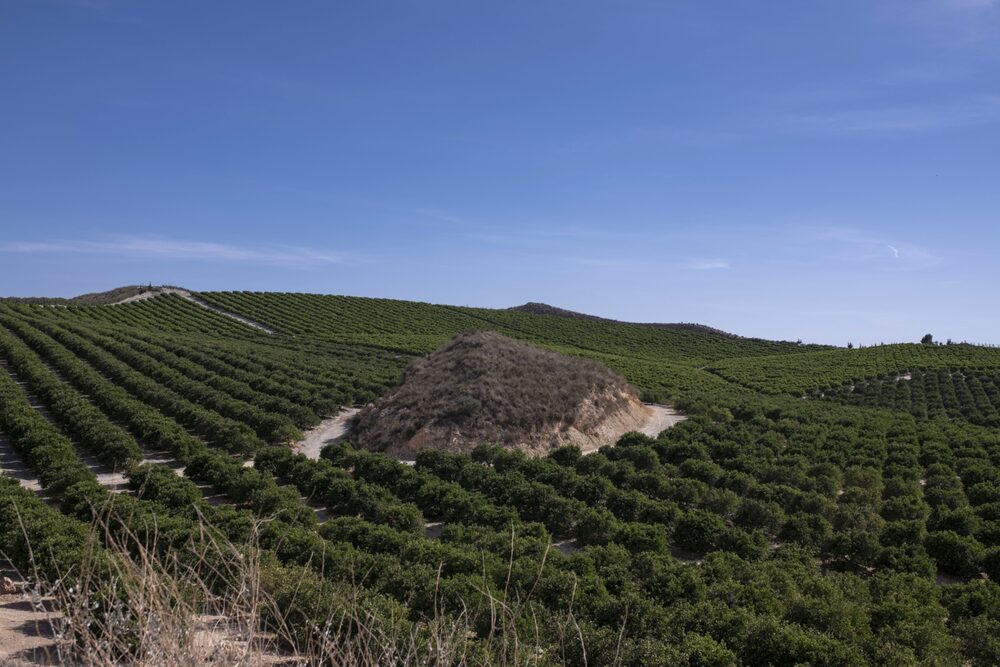 Tajo-Segura Tajo-Segura