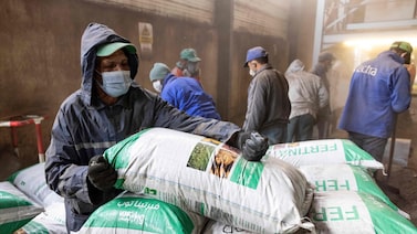Trump suspende tarifas sobre fertilizantes do Marrocos para conter custos no campo Trump suspende tarifas sobre fertilizantes do Marrocos para conter custos no campo