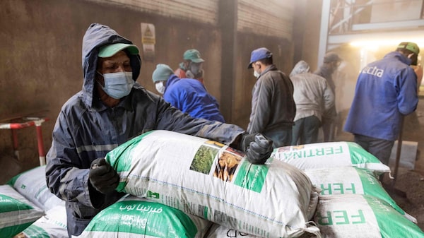 Trump suspende tarifas sobre fertilizantes do Marrocos para conter custos no campo Trump suspende tarifas sobre fertilizantes do Marrocos para conter custos no campo