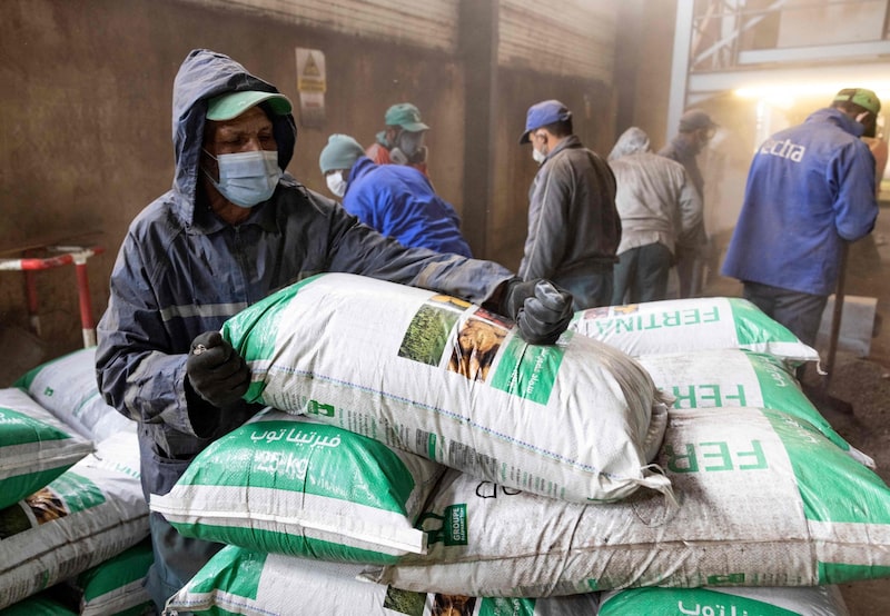 Governo dos EUA manteve a isenção para fertilizantes marroquinos ao citar a necessidade de proteger agricultores americanos Governo dos EUA manteve a isenção para fertilizantes marroquinos ao citar a necessidade de proteger agricultores americanos