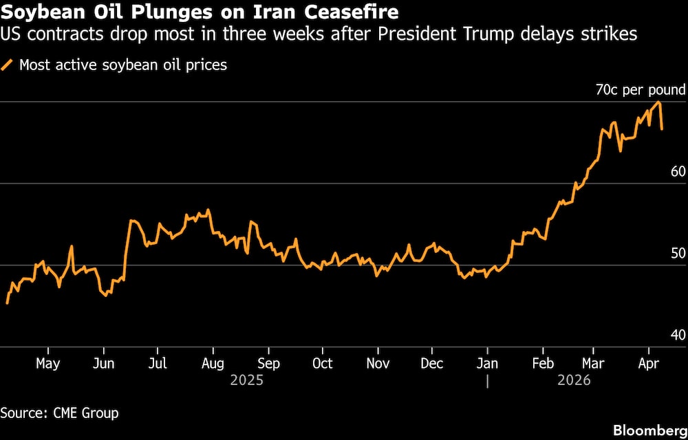 El precio del aceite de soja se desploma tras el alto el fuego en Irán. El precio del aceite de soja se desploma tras el alto el fuego en Irán.