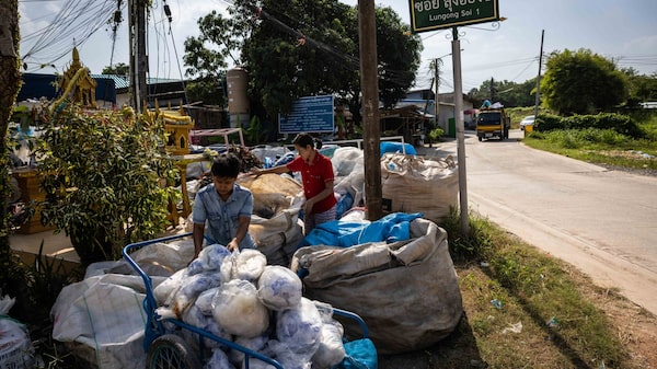 Plásticos biodegradables podrían acabar haciendo más daño que bien Plásticos biodegradables podrían acabar haciendo más daño que bien