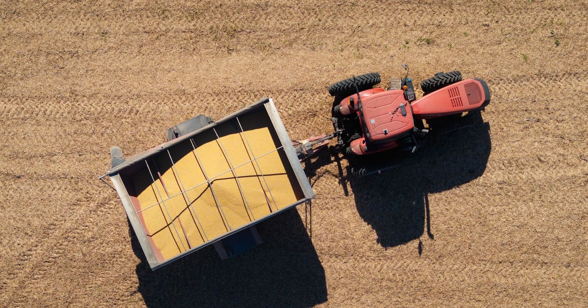 DISRUPCIONES AGROPECUARIAS: ORMUZ Y BIOCOMBUSTIBLES IMPACTAN MERCADOS