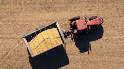 Nova diretriz dos EUA para combustíveis renováveis mexe com mercado global e eleva soja Nova diretriz dos EUA para combustíveis renováveis mexe com mercado global e eleva soja