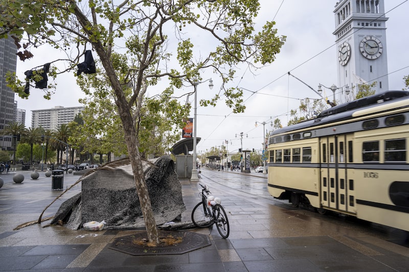 São Francisco São Francisco