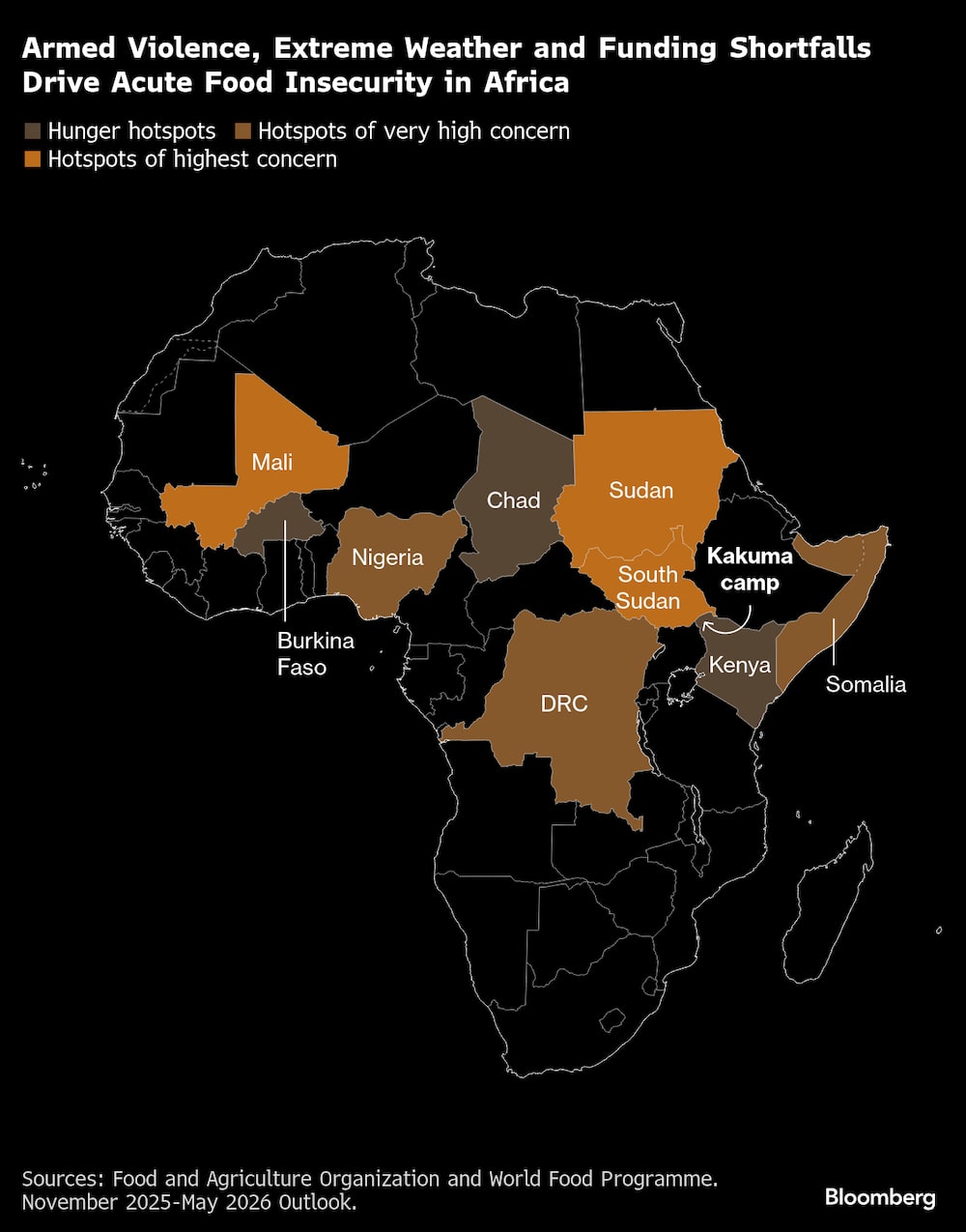 La violencia armada, las condiciones meteorológicas extremas y la falta de financiación provocan una grave inseguridad alimentaria en África. La violencia armada, las condiciones meteorológicas extremas y la falta de financiación provocan una grave inseguridad alimentaria en África.
