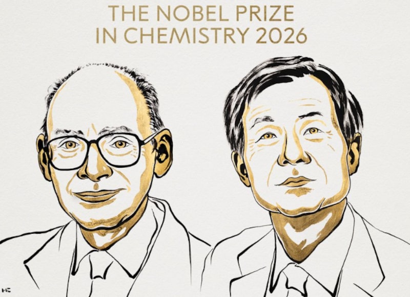 Dos científicos ganan el Premio Nobel por descifrar la asimetría química Dos científicos ganan el Premio Nobel por descifrar la asimetría química