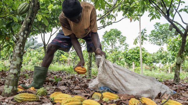 Cacao registra su mejor semana desde enero: pronósticos de precio y cómo se puede invertir Cacao registra su mejor semana desde enero: pronósticos de precio y cómo se puede invertir