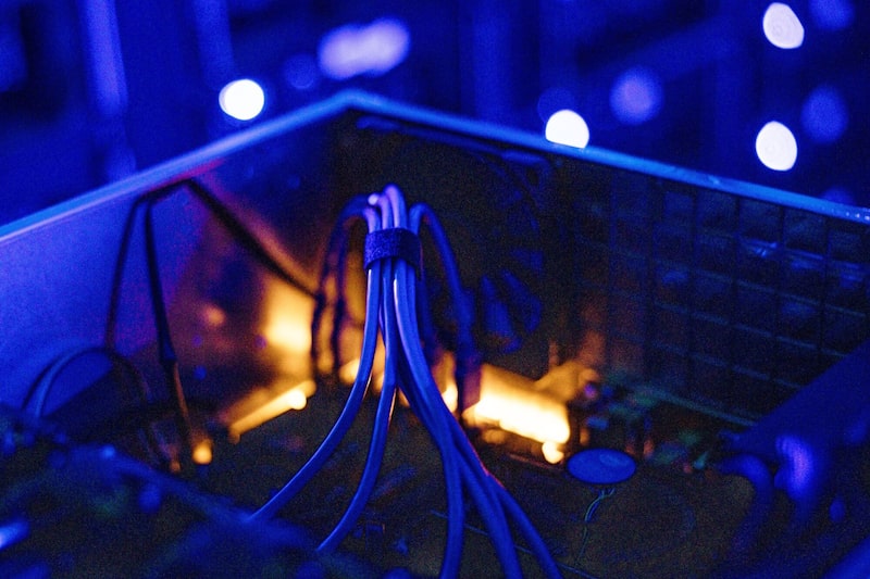 Servidor de computadora. Servidor de computadora.