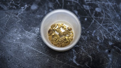 Oro gana más peso en las reservas de Bolivia: ¿por qué plantea riesgos para su economía? Oro gana más peso en las reservas de Bolivia: ¿por qué plantea riesgos para su economía?