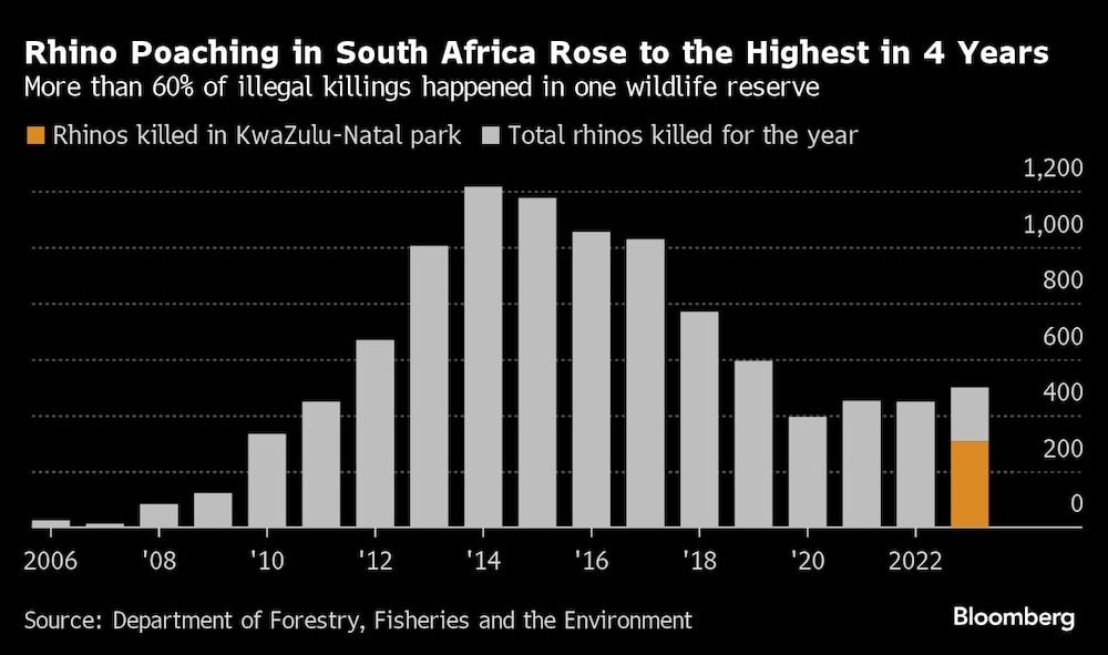 Gráficos de la caza furtiva de rinocerontes en Sudáfrica alcanza su nivel más alto en 4 años Gráficos de la caza furtiva de rinocerontes en Sudáfrica alcanza su nivel más alto en 4 años