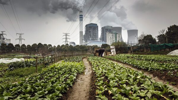 Remoção de carbono não é só para empresas. As pessoas também querem Remoção de carbono não é só para empresas. As pessoas também querem