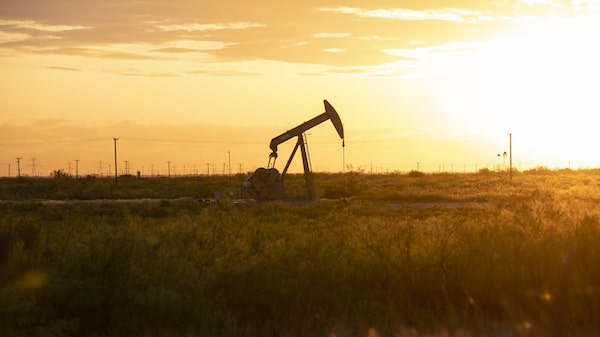 El petróleo extiende su declive a medida que se acumulan las existencias en Estados Unidos El petróleo extiende su declive a medida que se acumulan las existencias en Estados Unidos