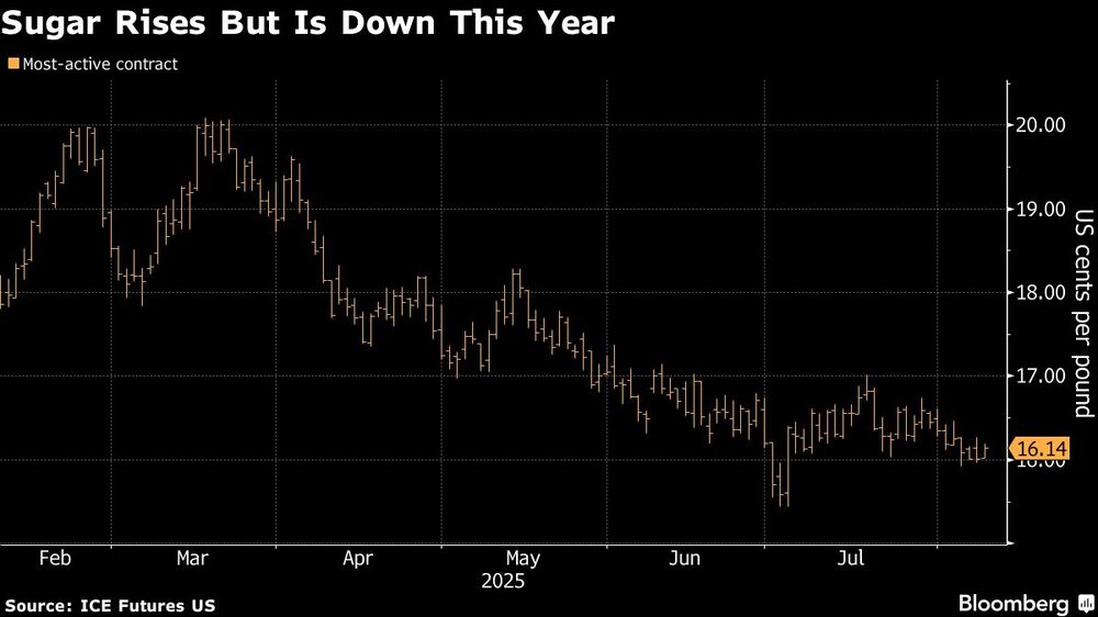Sugar Rises But Is Down This Year Sugar Rises But Is Down This Year