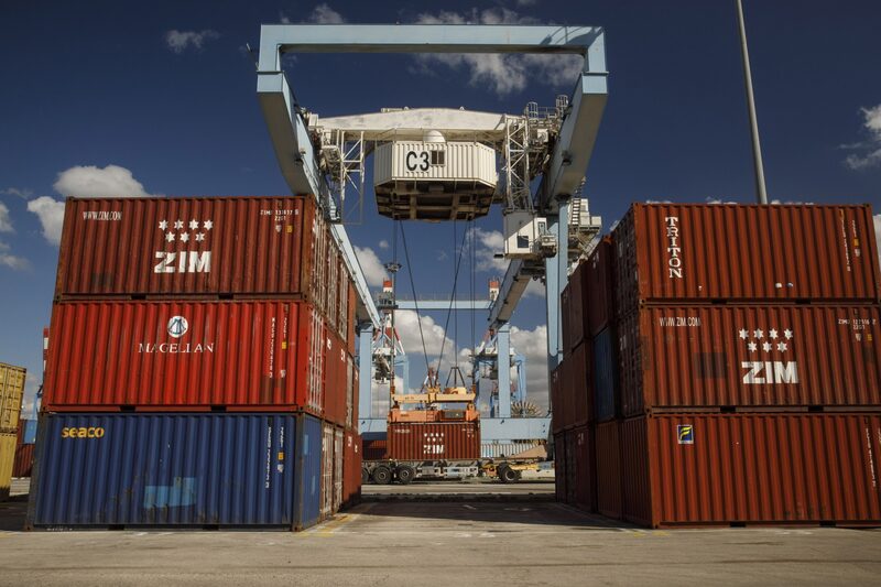 uma fênix ressurgindo das cinzas uma fênix ressurgindo das cinzas