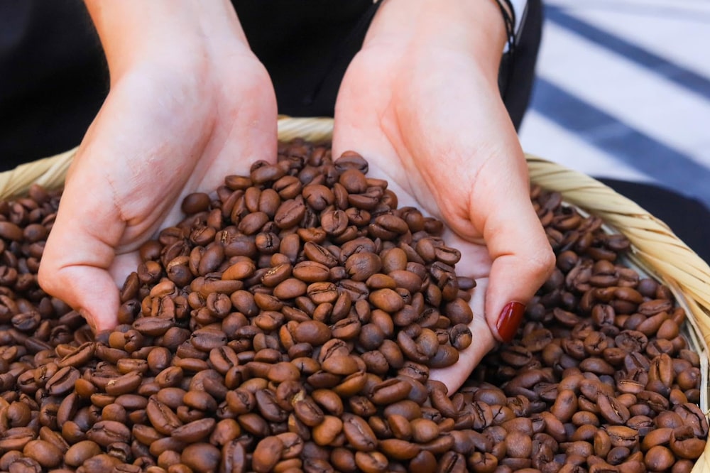 Pacamara salvadoreño. Pacamara salvadoreño.
