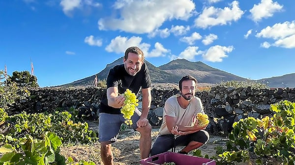 Como este produtor se tornou um símbolo da ‘premiumização’ dos vinhos de Portugal Como este produtor se tornou um símbolo da ‘premiumização’ dos vinhos de Portugal