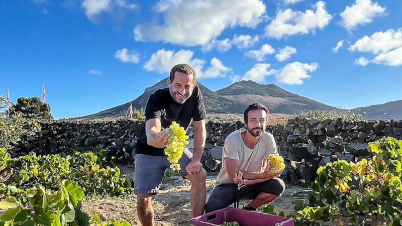 Como este produtor se tornou um símbolo da ‘premiumização’ dos vinhos de Portugal Como este produtor se tornou um símbolo da ‘premiumização’ dos vinhos de Portugal