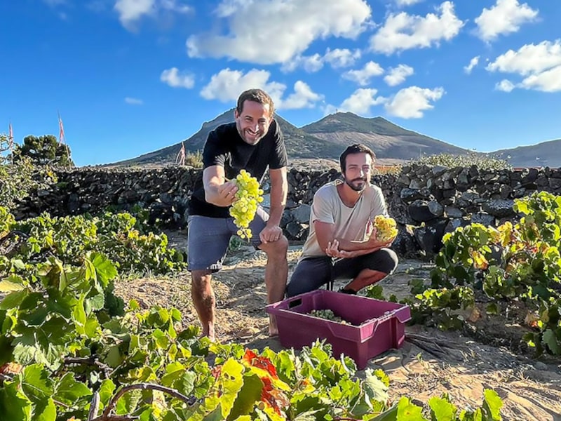 O negócio do terroir: como António Maçanita virou símbolo da premiumização dos vinhos de Portugal O negócio do terroir: como António Maçanita virou símbolo da premiumização dos vinhos de Portugal