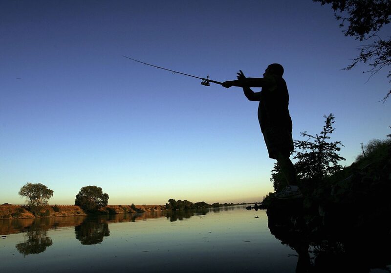 Pescando Pescando