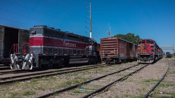 Grupo México pone la mira en la privatización ferroviaria de Milei en Argentina Grupo México pone la mira en la privatización ferroviaria de Milei en Argentina