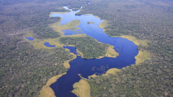 Monetizar la conservación ambiental, la nueva gran apuesta de Ecuador Monetizar la conservación ambiental, la nueva gran apuesta de Ecuador