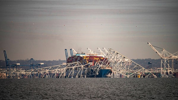 El derrumbe del puente de Baltimore agrava los dolores de cabeza en el mercado de celulosa El derrumbe del puente de Baltimore agrava los dolores de cabeza en el mercado de celulosa