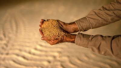 Países Bajos bloquea cargamentos de soja argentina por transgénicos no aprobados Países Bajos bloquea cargamentos de soja argentina por transgénicos no aprobados